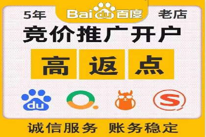 百度SEO推广策略全解析：某企业从零到一的成长历程